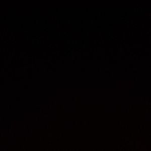 Meet your Posher, Elena